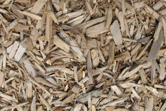biomass boilers Alvecote
